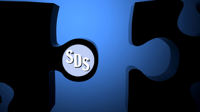 sdspic.jpg